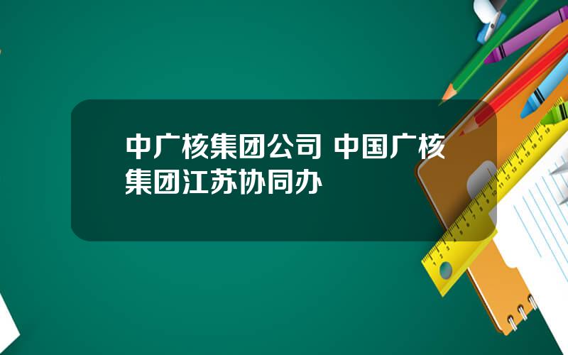 中广核集团公司 中国广核集团江苏协同办